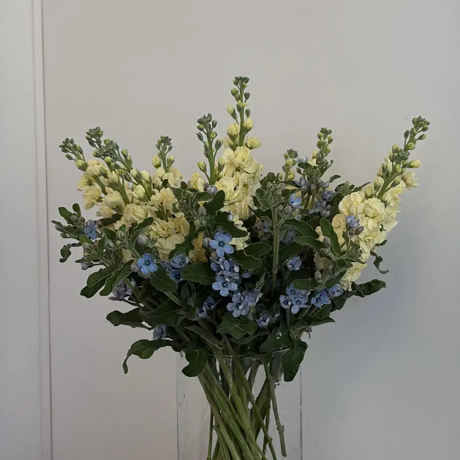 Zestaw 6 — gigi flowers Poznań