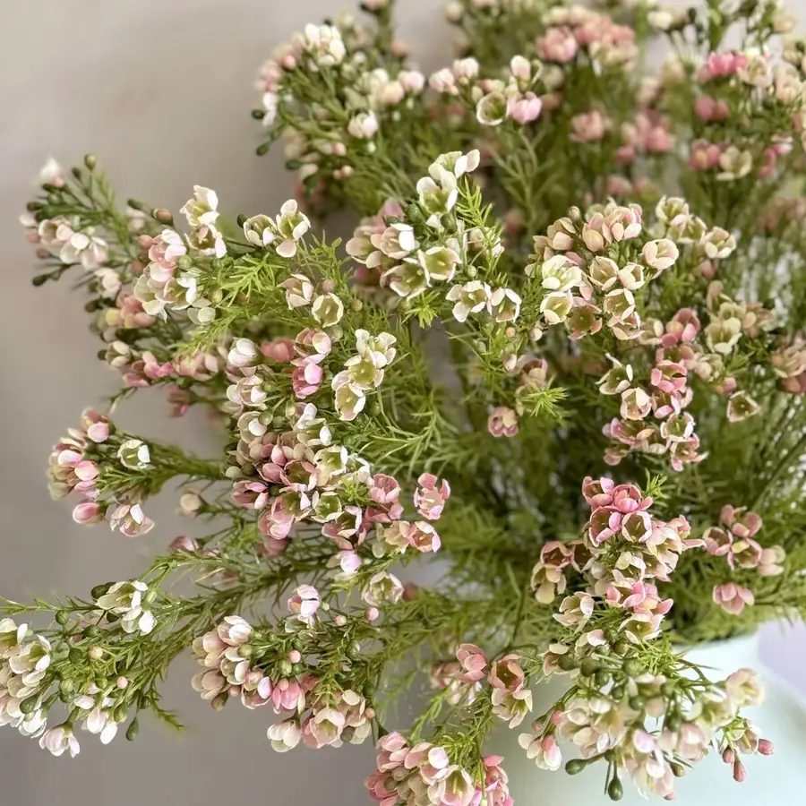 Wax flower - różowy 25 szt. — gigi flowers Poznań
