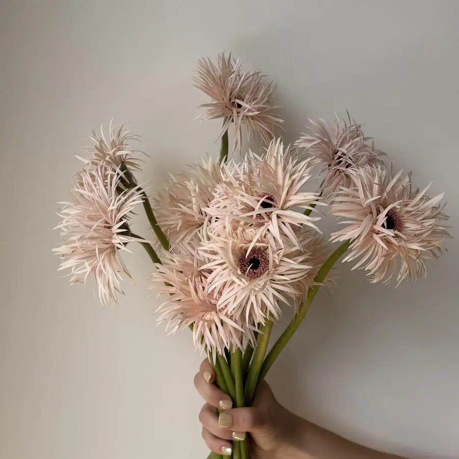 Gerbery pająk - różowe 20 szt. — gigi flowers Poznań