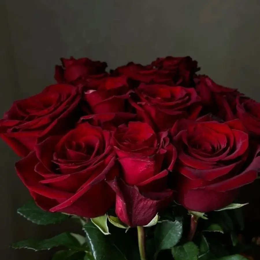 Róża 10 szt. 80sm — gigi flowers Poznań